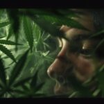cbd autisme