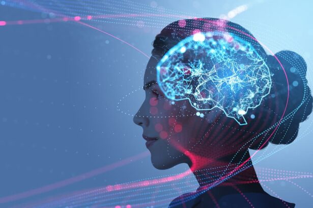 cerveau