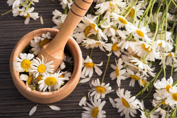 produits naturels