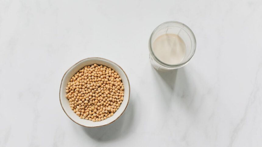 Bol de soja et lait végétal pour comparer protéines végétales et whey