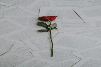 Rose rouge posee sur des pages de livres anciens symbolisant l hommage et la memoire