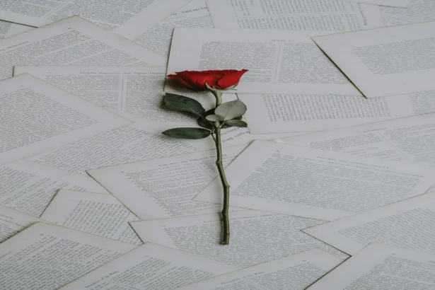 Rose rouge posee sur des pages de livres anciens symbolisant l hommage et la memoire