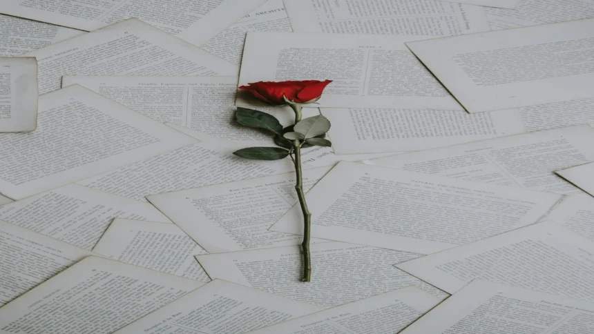 Rose rouge posee sur des pages de livres anciens symbolisant l hommage et la memoire